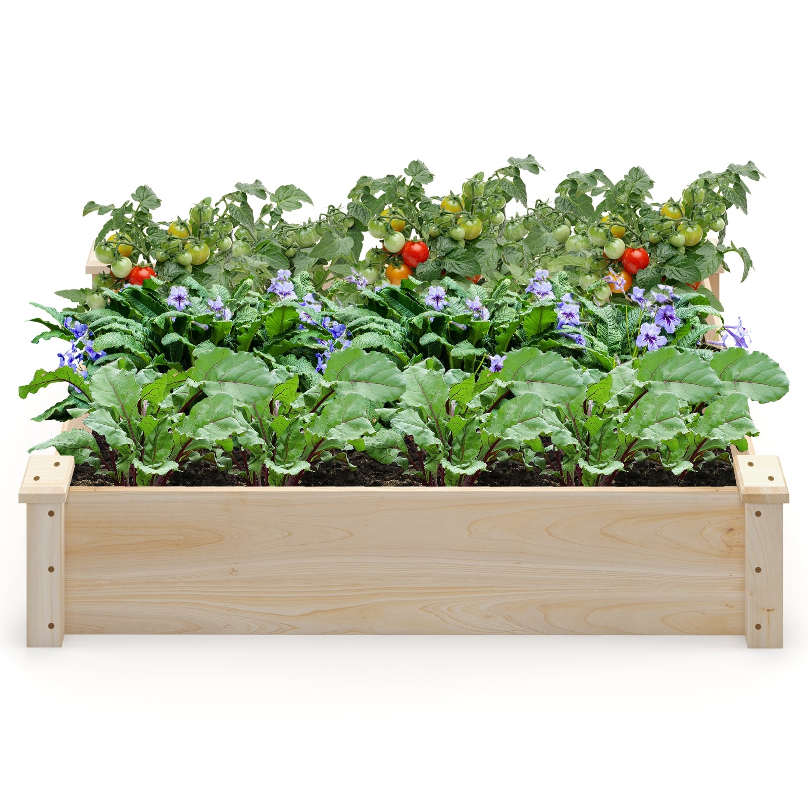 Fir Wood Raised Garden Bed, Square Wood Planter Box, Natural Raised Garden Beds at Gallery Canada