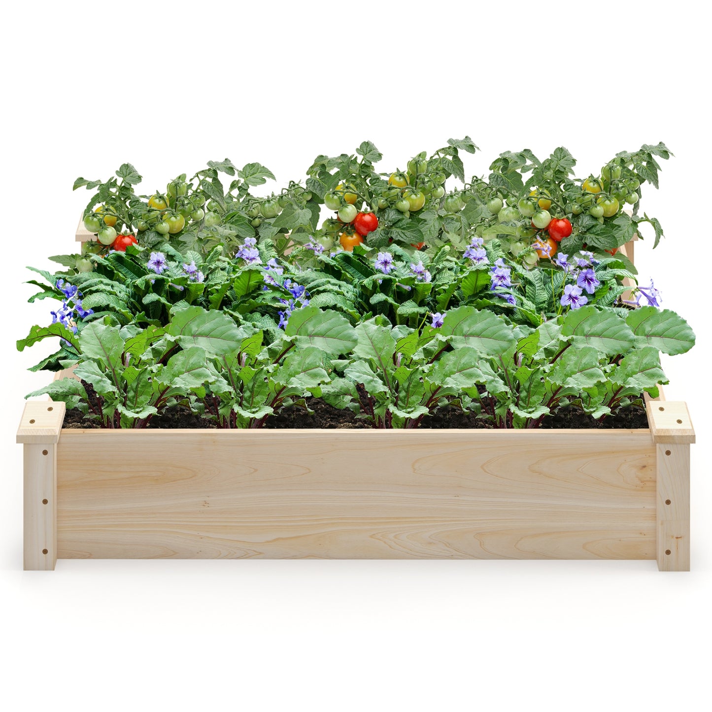 Fir Wood Raised Garden Bed, Square Wood Planter Box, Natural Raised Garden Beds at Gallery Canada