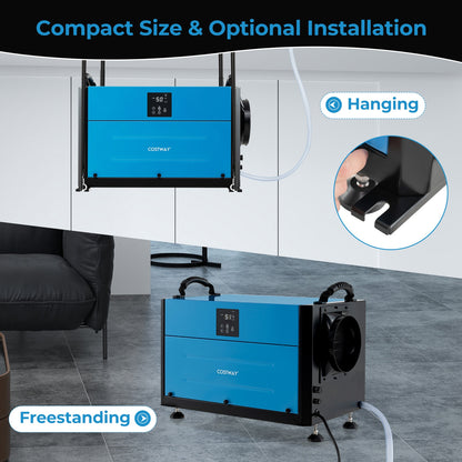 155 Pint Crawl Space Dehumidifier with 3 Modes and 24H Timer, Blue Dehumidifiers at Gallery Canada
