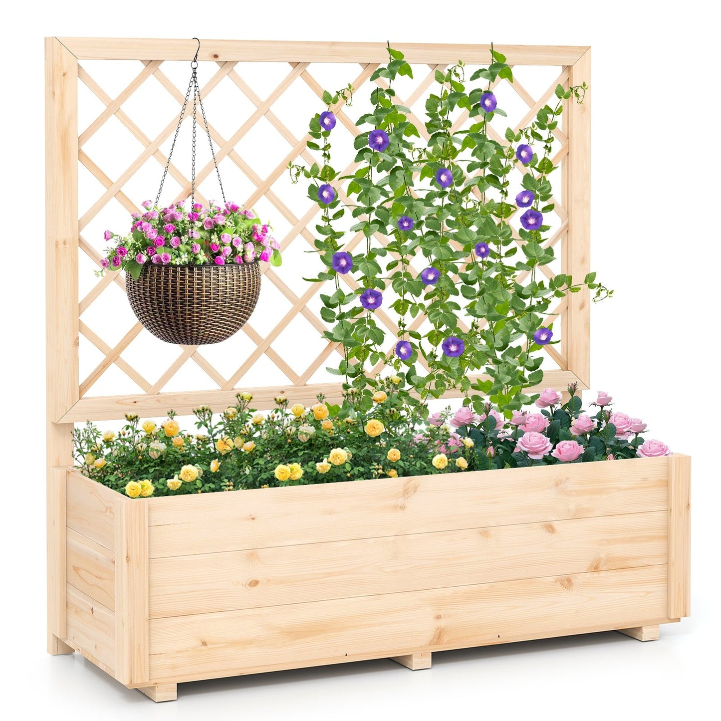 Raised Garden Bed Wooden Elevated Planter Box with Lattice Trellis-L Raised Garden Beds Options at Gallery Canada