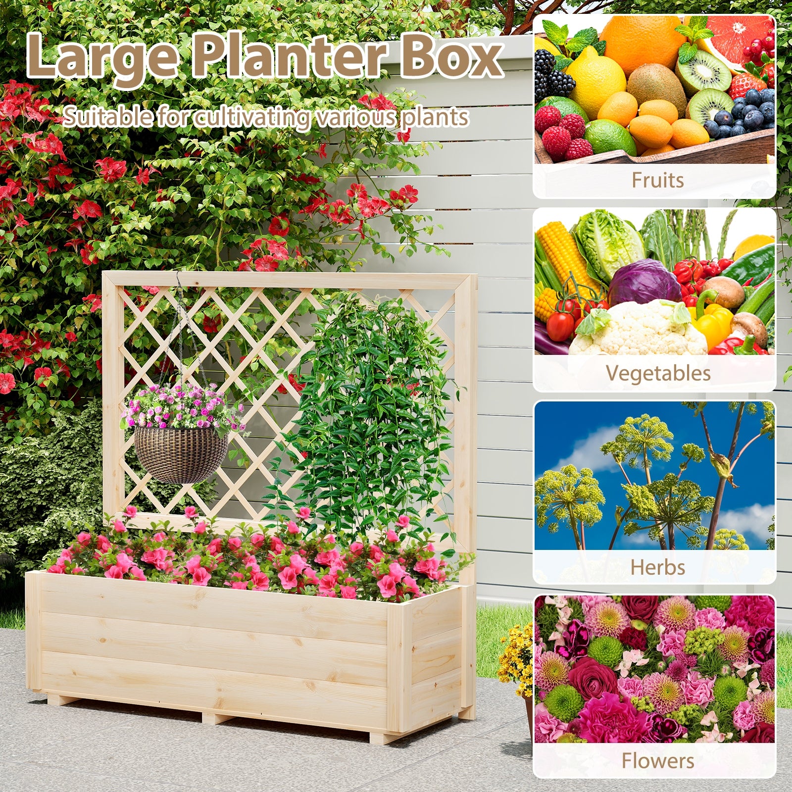 Raised Garden Bed Wooden Elevated Planter Box with Lattice Trellis-L Raised Garden Beds at Gallery Canada