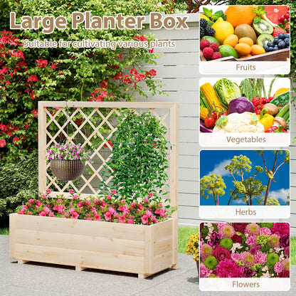 Raised Garden Bed Wooden Elevated Planter Box with Lattice Trellis-L Raised Garden Beds at Gallery Canada