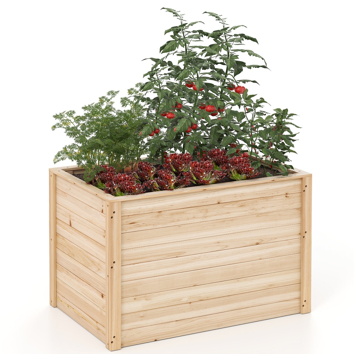 Wooden Raised Garden Bed Elevated Planter Box with Open-Ended Base Raised Garden Beds at Gallery Canada