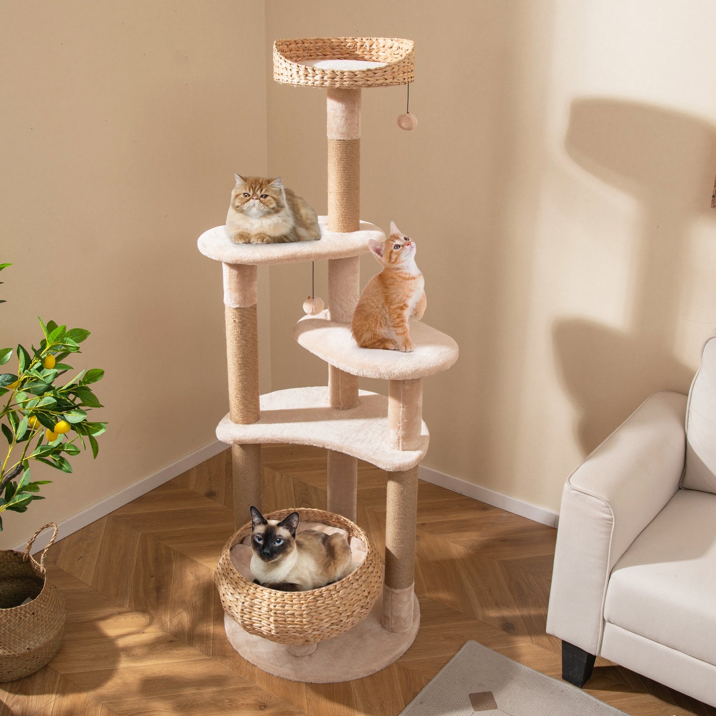 59 Inches Cat Tree with Perch and Soft Hammock for Indoor Cats, Beige Cat Trees Condos & Scratchers at Gallery Canada