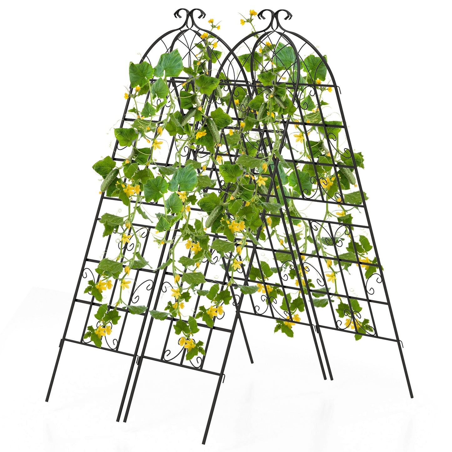 2/4 Pack 71 x 20 Inch Metal Garden Trellis for Climbing Plants at Gallery Canada