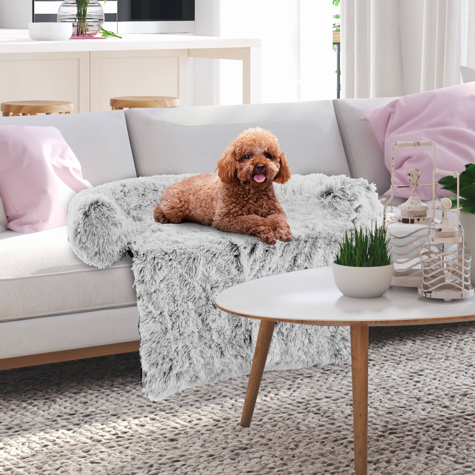 White Plush Calming Dog Couch Bed with Anti-Slip Bottom-S, White Cat Supplies at Gallery Canada