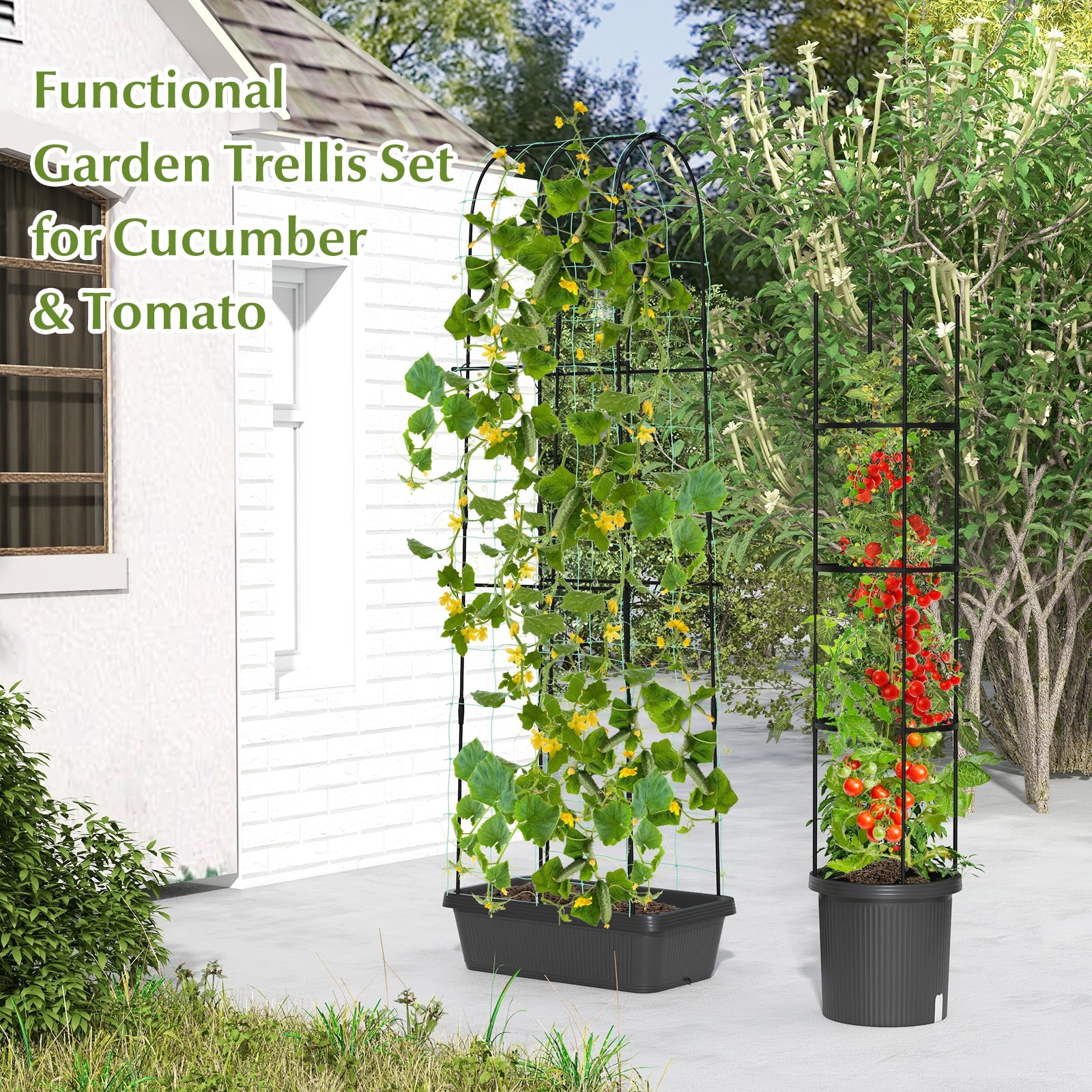 2 Pack Garden Planters with Trellis Cucumber Trellis Tomato Cage, Black Raised Garden Beds at Gallery Canada