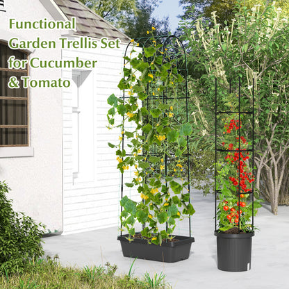 2 Pack Garden Planters with Trellis Cucumber Trellis Tomato Cage, Black Raised Garden Beds at Gallery Canada