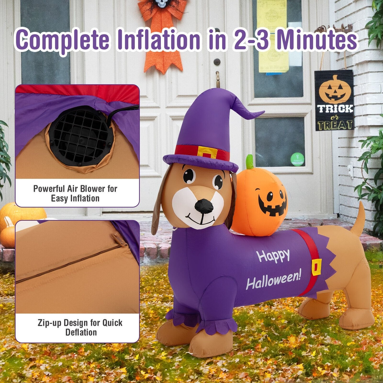 5 Feet Long Halloween Inflatable Dachshund Dog with Pumpkin, Purple - Gallery Canada