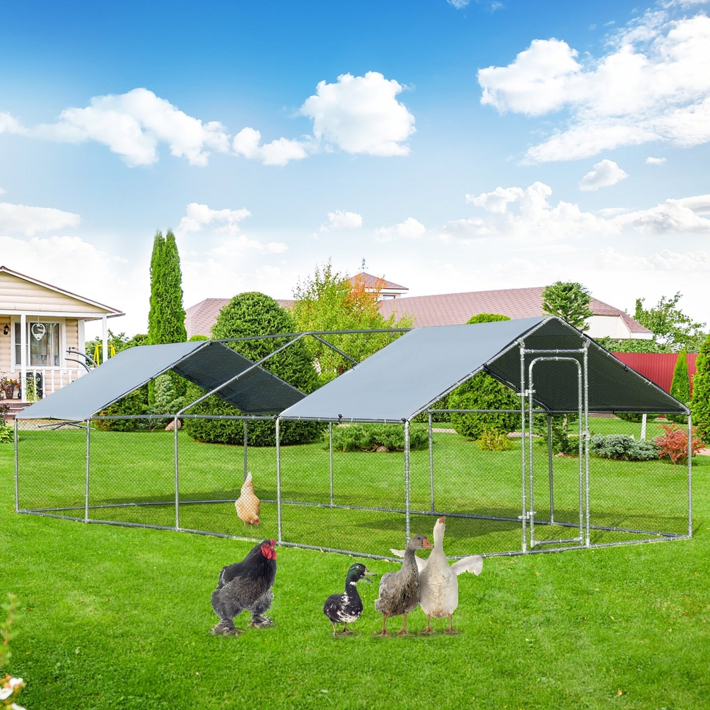 Large Walk In Chicken Coop with Roof Cover Backyard, Gray
