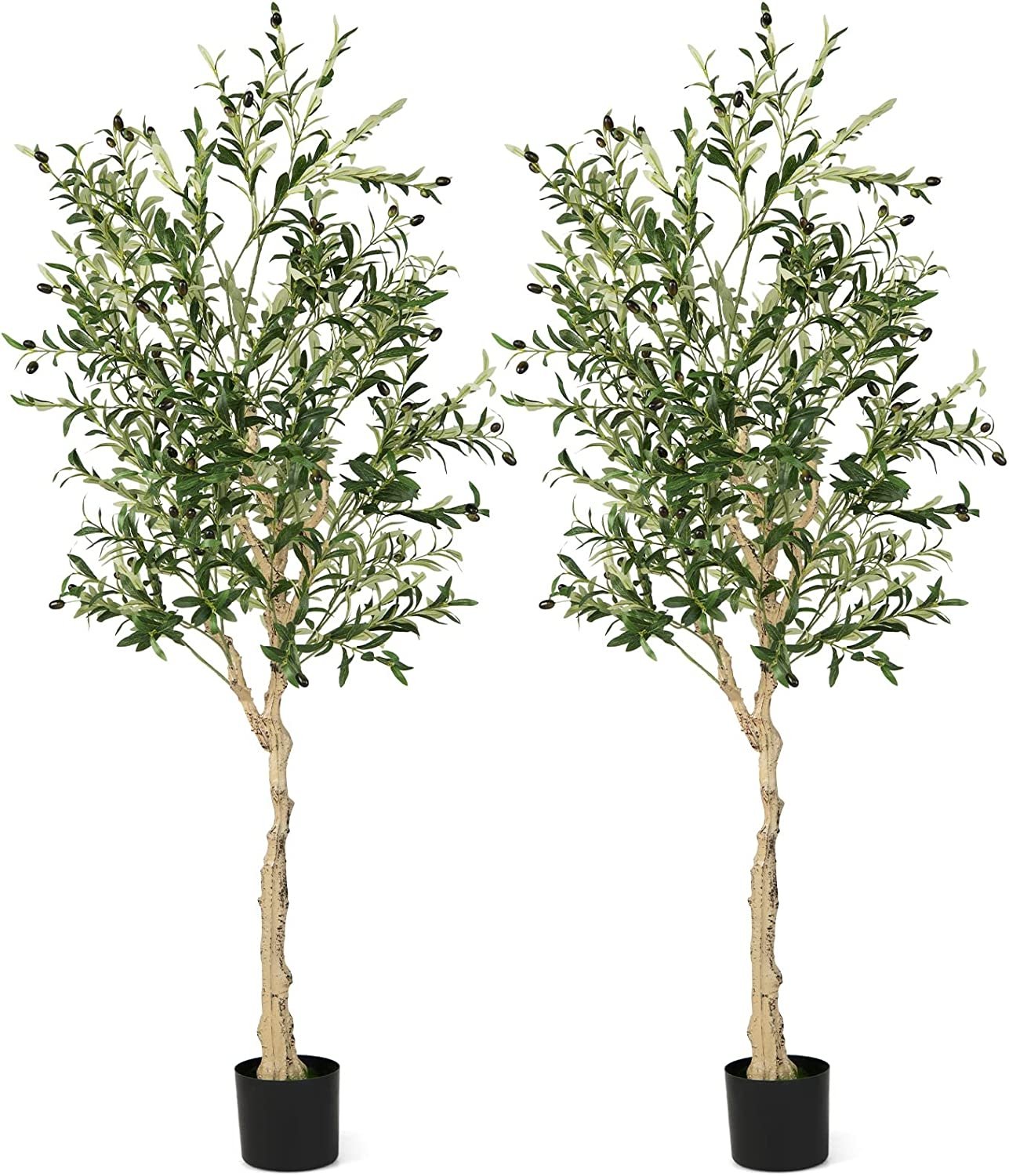 6 Feet Artificial Olive Tree in Cement Pot-2 Pieces, Green - Gallery Canada