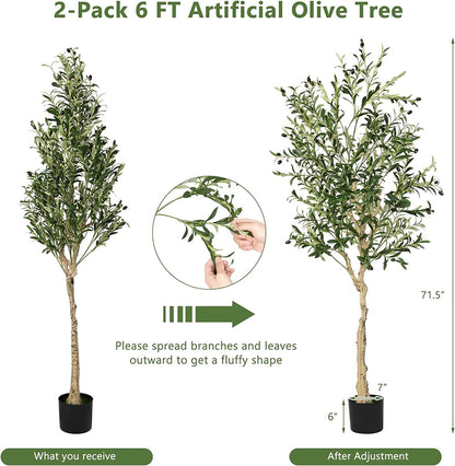 6 Feet Artificial Olive Tree in Cement Pot-2 Pieces, Green - Gallery Canada