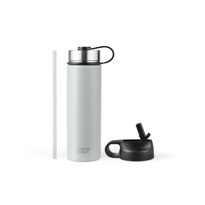 22 Oz Double-Walled Insulated Stainless Steel Water Bottle, 2 Lids, Gray Kitchen Utensils Gray at Gallery Canada