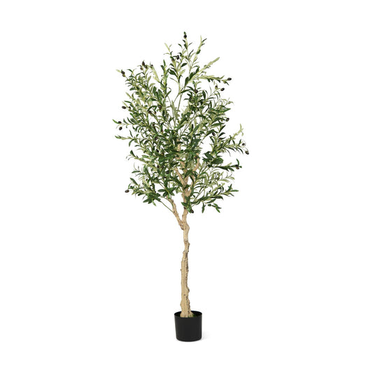 6 Feet  Artificial Olive Tree in Cement Pot-1 Piece, Green