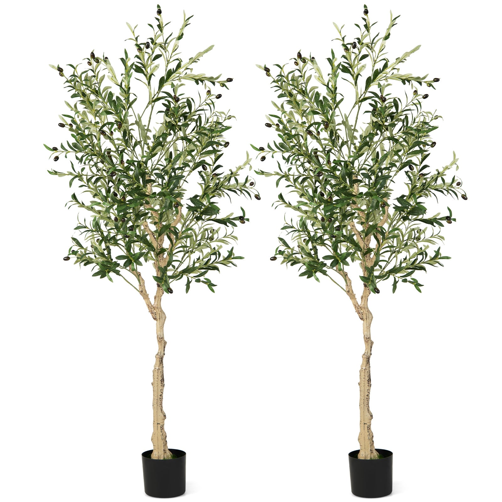 6 Feet Artificial Olive Tree in Cement Pot-1 Piece, Green Faux Plants at Gallery Canada