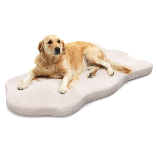 Orthopedic Dog Bed with Memory Foam Support for Large Dogs, Beige