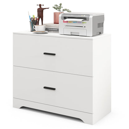 2-Drawer Lateral File Cabinet with Adjustable Bars for Home and Office, White File Cabinets White at Gallery Canada