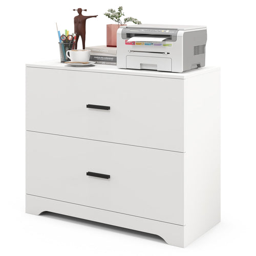 2-Drawer Lateral File Cabinet with Adjustable Bars for Home and Office, White