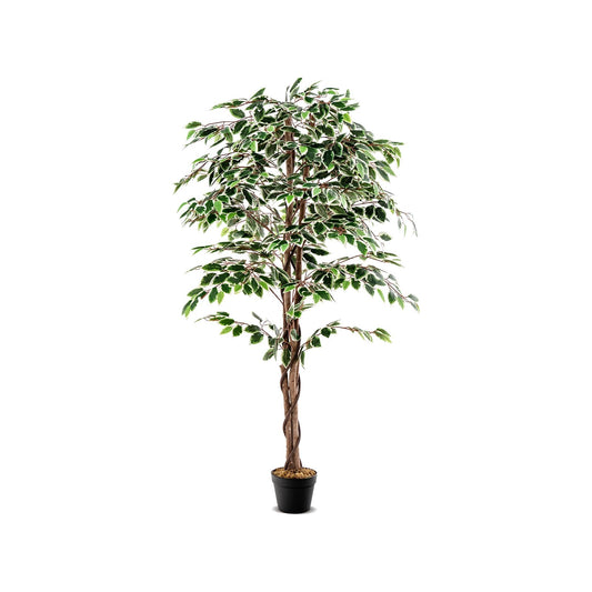 Artificial Ficus Tree Tall Faux Indoor Plant with 1008 Leaves Nursery Pot and Dried Moss, Green - Gallery Canada