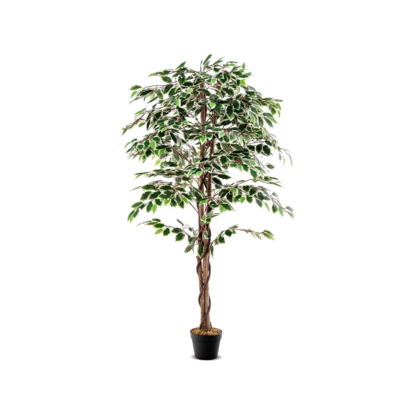 Artificial Ficus Tree Tall Faux Indoor Plant with 1008 Leaves Nursery Pot and Dried Moss, Green Faux Plants at Gallery Canada