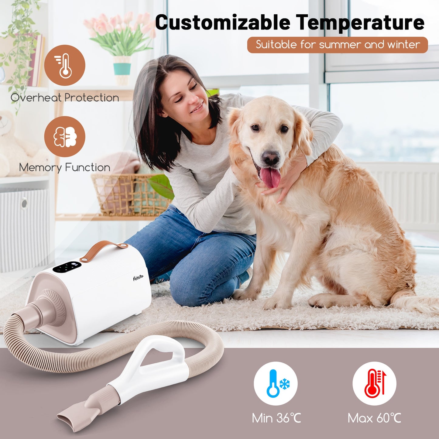 Dog Cat Hair Blower with Negative Ion Function and Adjustable Temperature, White Pets at Gallery Canada