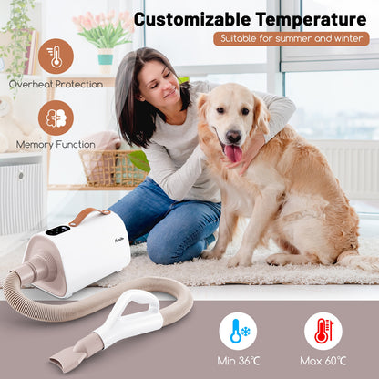 Dog Cat Hair Blower with Negative Ion Function and Adjustable Temperature, White Pets at Gallery Canada