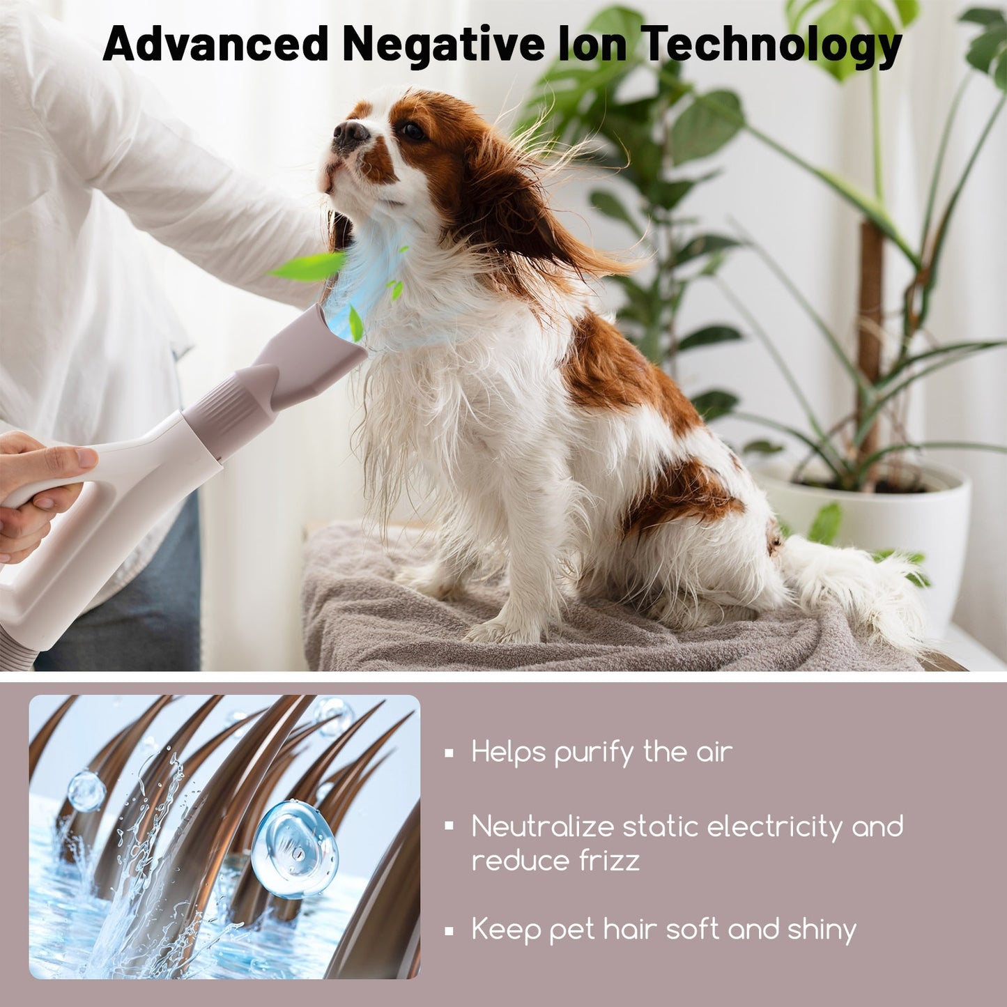 Dog Cat Hair Blower with Negative Ion Function and Adjustable Temperature, White Pets at Gallery Canada