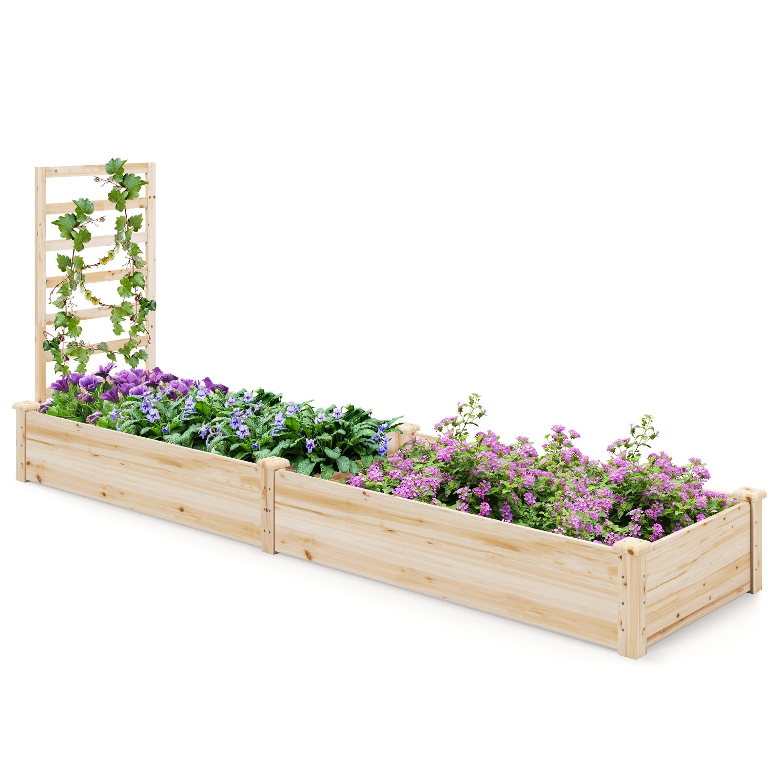 Raised Garden Bed with Planter Box and Trellis, Natural Raised Garden Beds at Gallery Canada