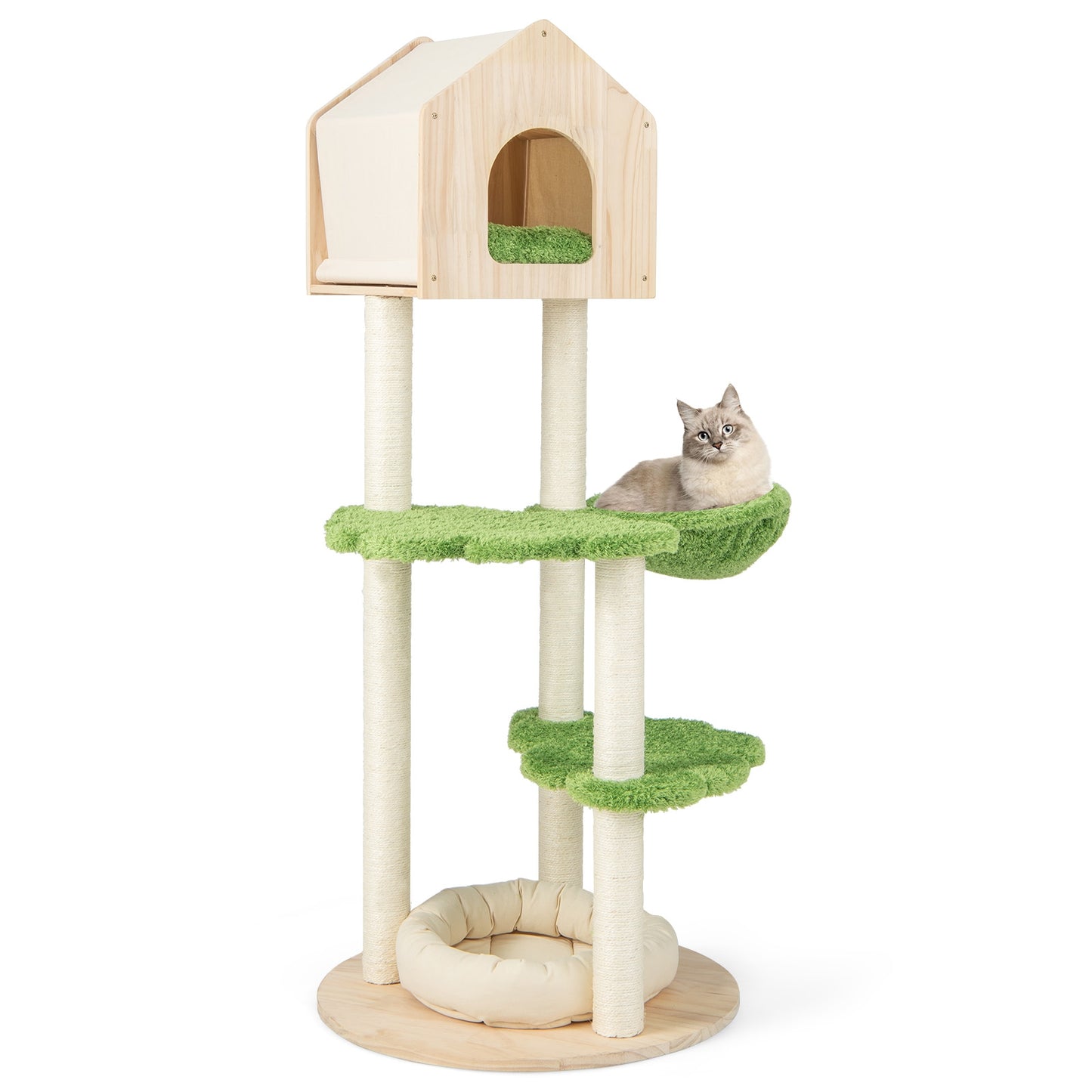 55 Inch Tall Cat Climbing Stand with Sisal Scratching Posts and Soft Cat Bed for Indoor Kittens, Green Cat Trees Condos & Scratchers at Gallery Canada