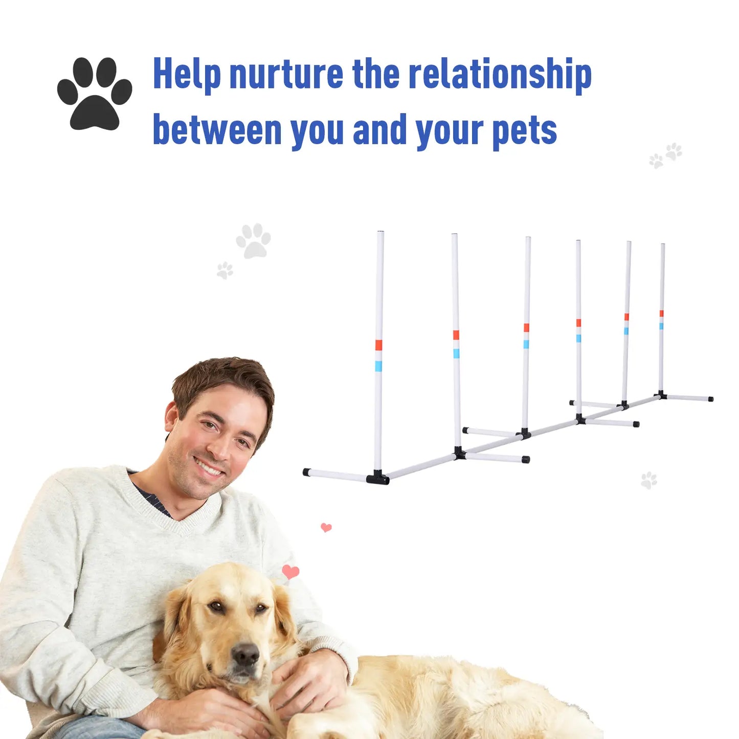 Adjustable Dog Agility Set, Weave Poles, Storage Bag, White Dog Agility Training Equipment at Gallery Canada