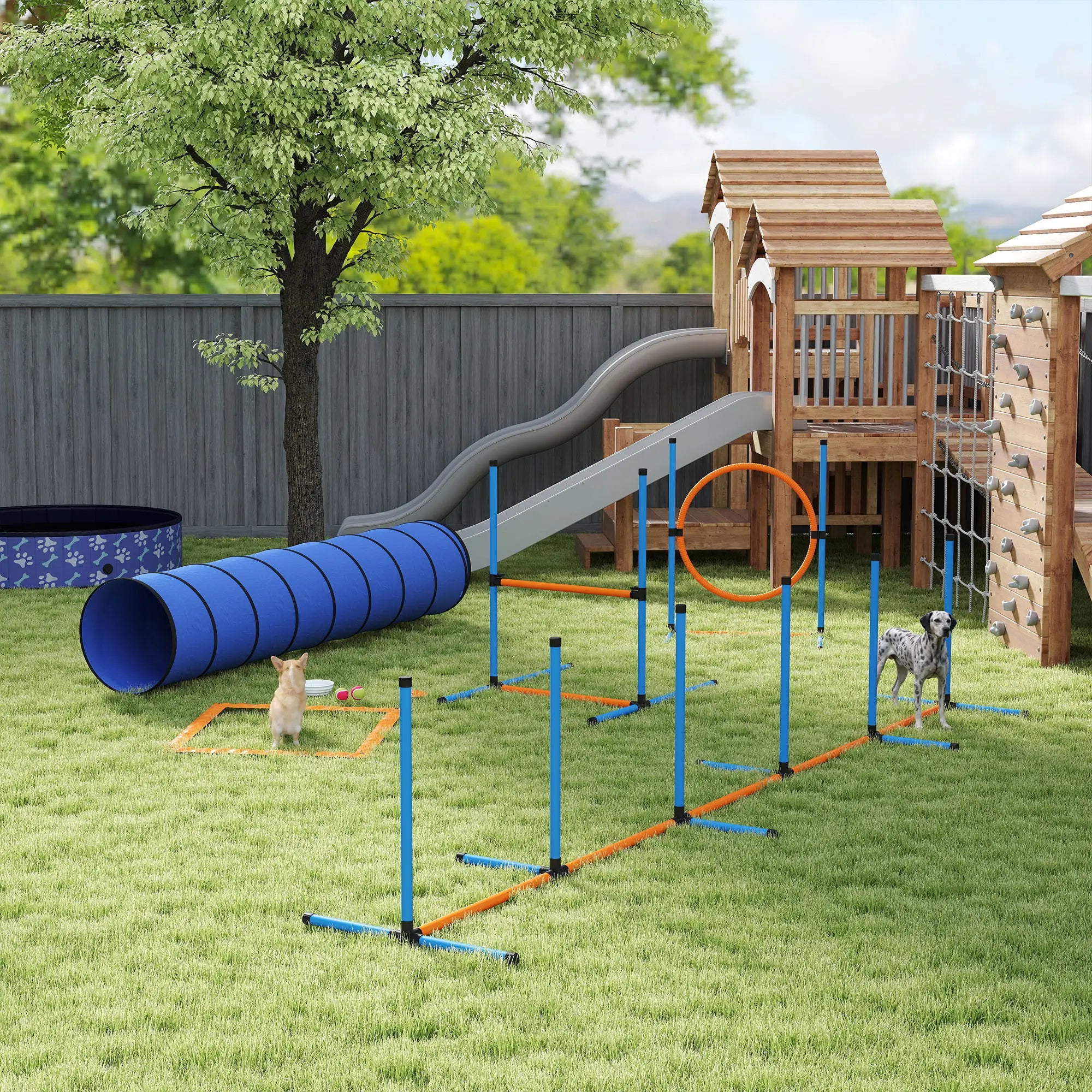 Dog Agility Training Equipment, 8PCS Obstacle Course Starter Kit Dog Agility Training Equipment at Gallery Canada
