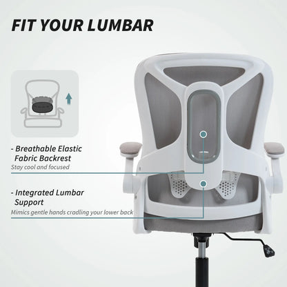 Ergonomic Swivel Office Chair, Adjustable Lumbar Support, Grey Task Chairs at Gallery Canada
