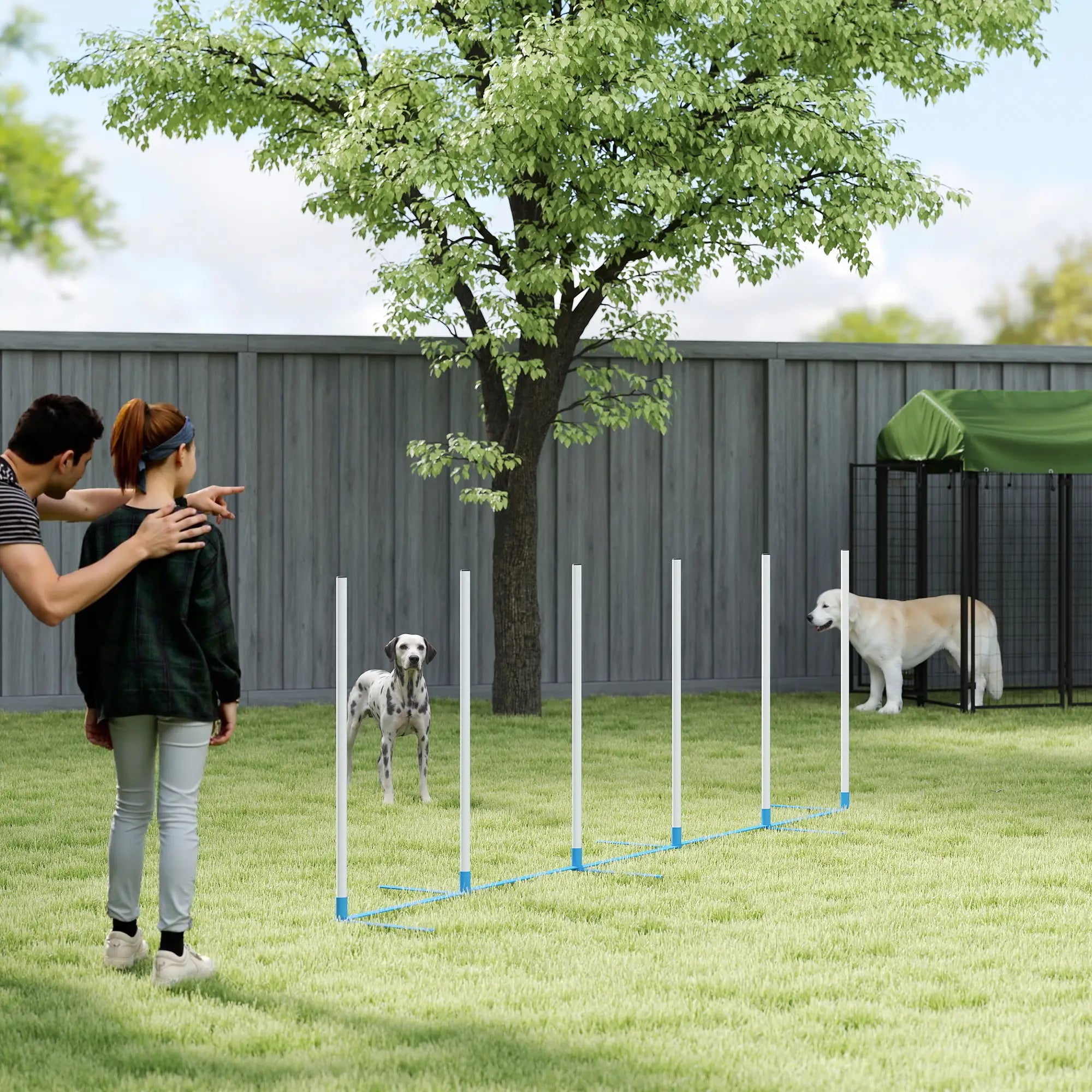 Adjustable Dog Agility Training Set, Weave Poles, Storage Bag, Blue and White Dog Agility Training Equipment at Gallery Canada