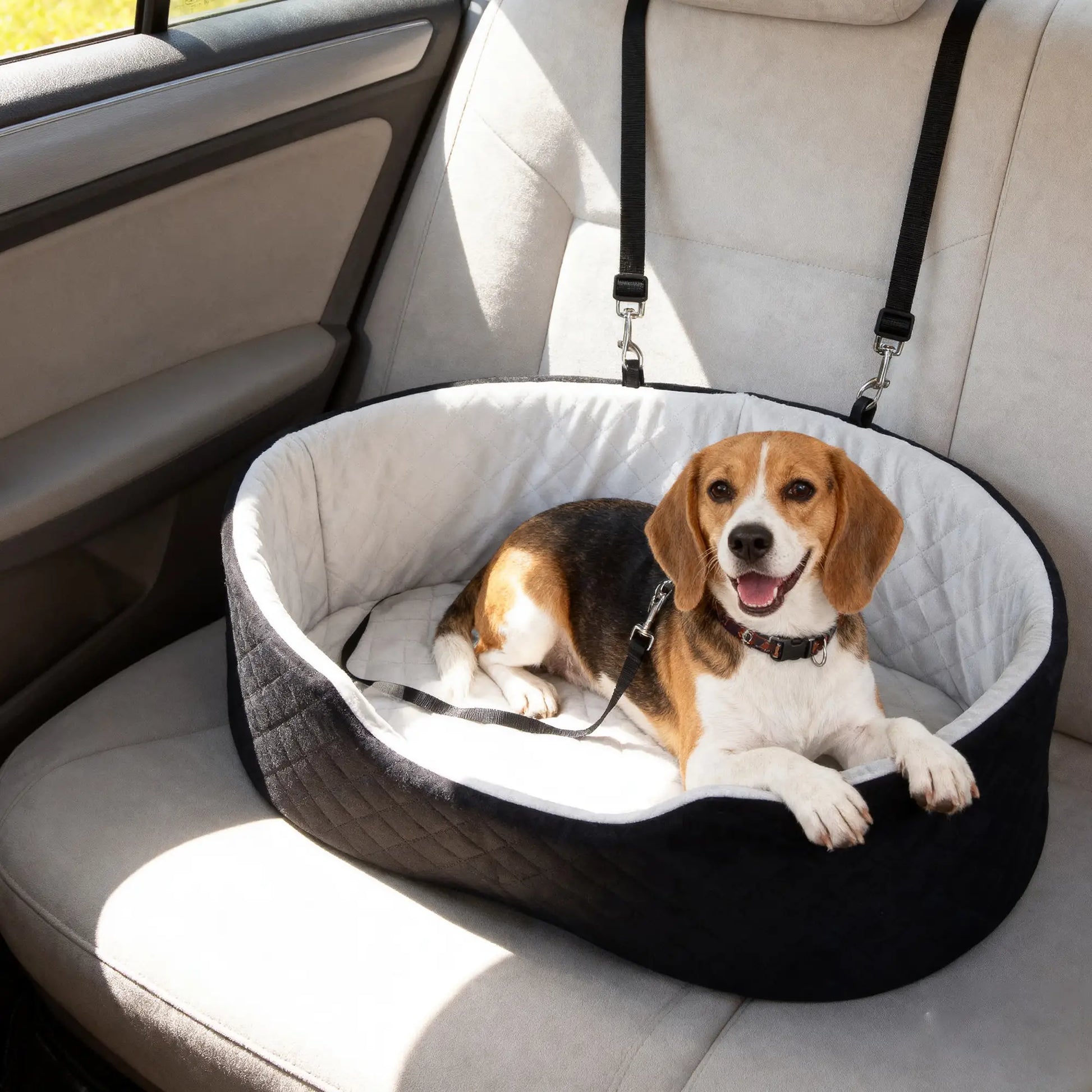 Dog Car Seat for Small Medium Pets, Detachable Washable Pet Bed with Cushion and Safety Belt, Black Elevated Dog Beds at Gallery Canada