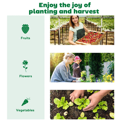 8.6 x 3 x 1ft Raised Garden Bed, Mini Greenhouse, Galvanized Cover, Green Galvanized Planter Boxes at Gallery Canada