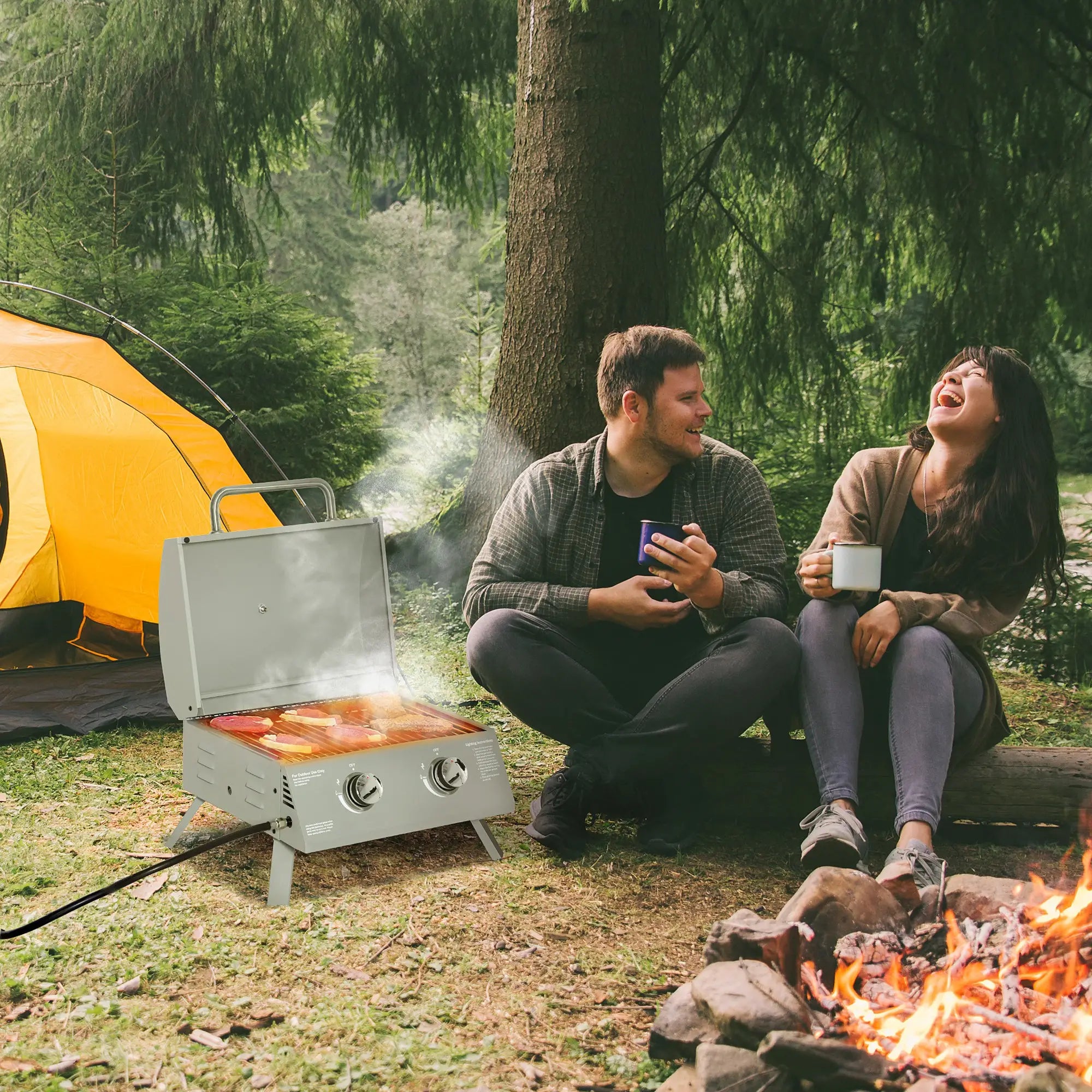 Portable Tabletop Propane Gas Grill, 2 Burner, Foldable Legs, Silver Propane Gas Grills at Gallery Canada