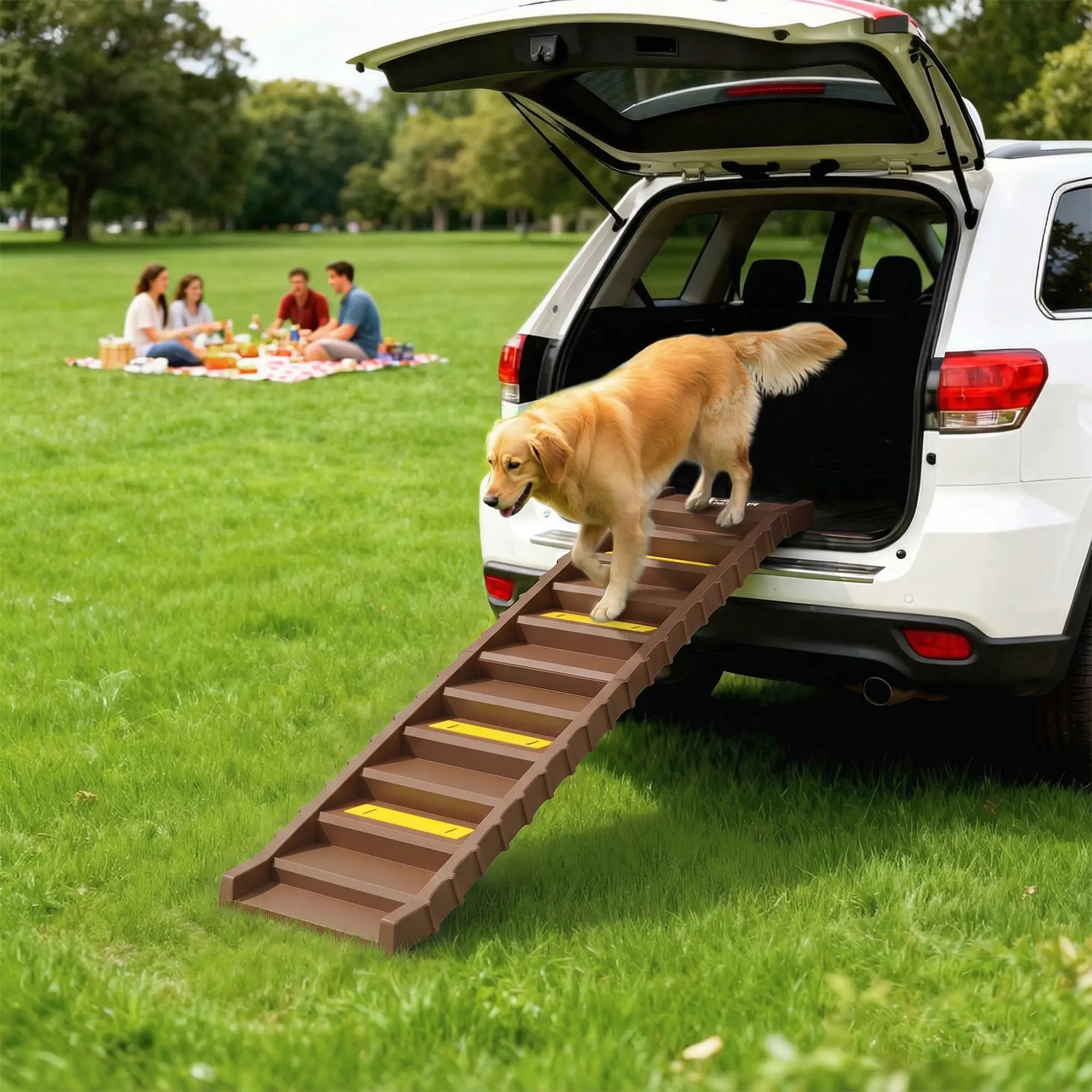 Foldable Dog Car Ramp, Anti-Slip Steps, Brown Dog Stairs at Gallery Canada