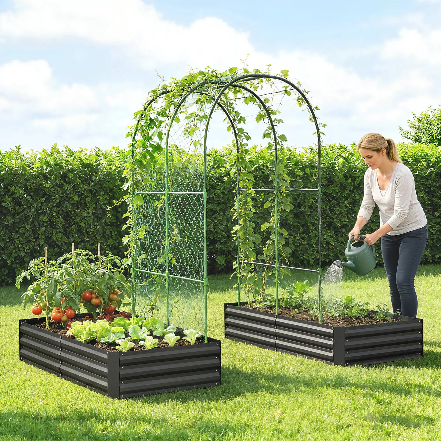 Metal Raised Garden Bed With Trellis, Galvanized Garden Kit, Black Galvanized Planter Boxes at Gallery Canada