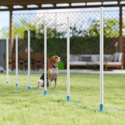 Adjustable Dog Agility Training Set, Weave Poles, Storage Bag, Blue and White Dog Agility Training Equipment at Gallery Canada