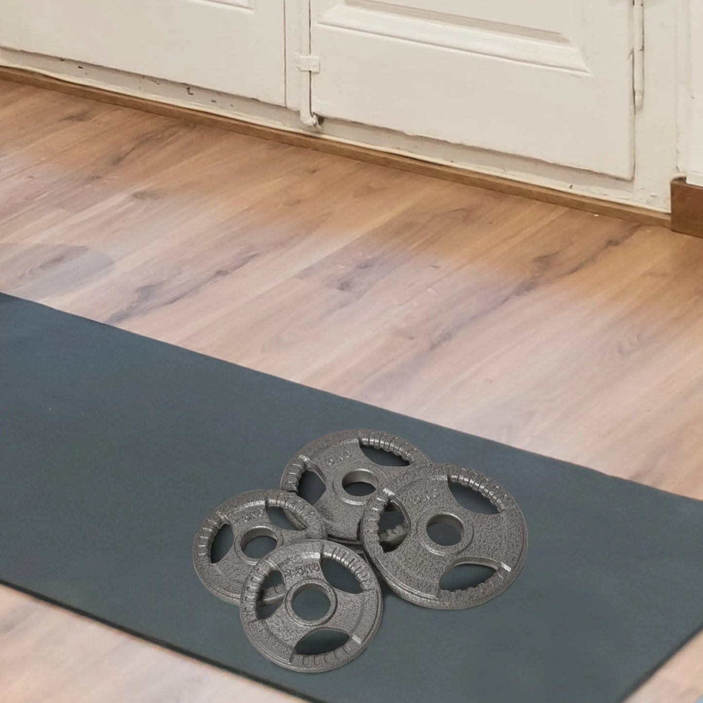 Set of 4 Dumbbell Plates, 2"/5cm Hole, 33 lbs, 2 x 11 lbs, 2 x 5.5 lbs, Silver Dumbbells & Barbells at Gallery Canada