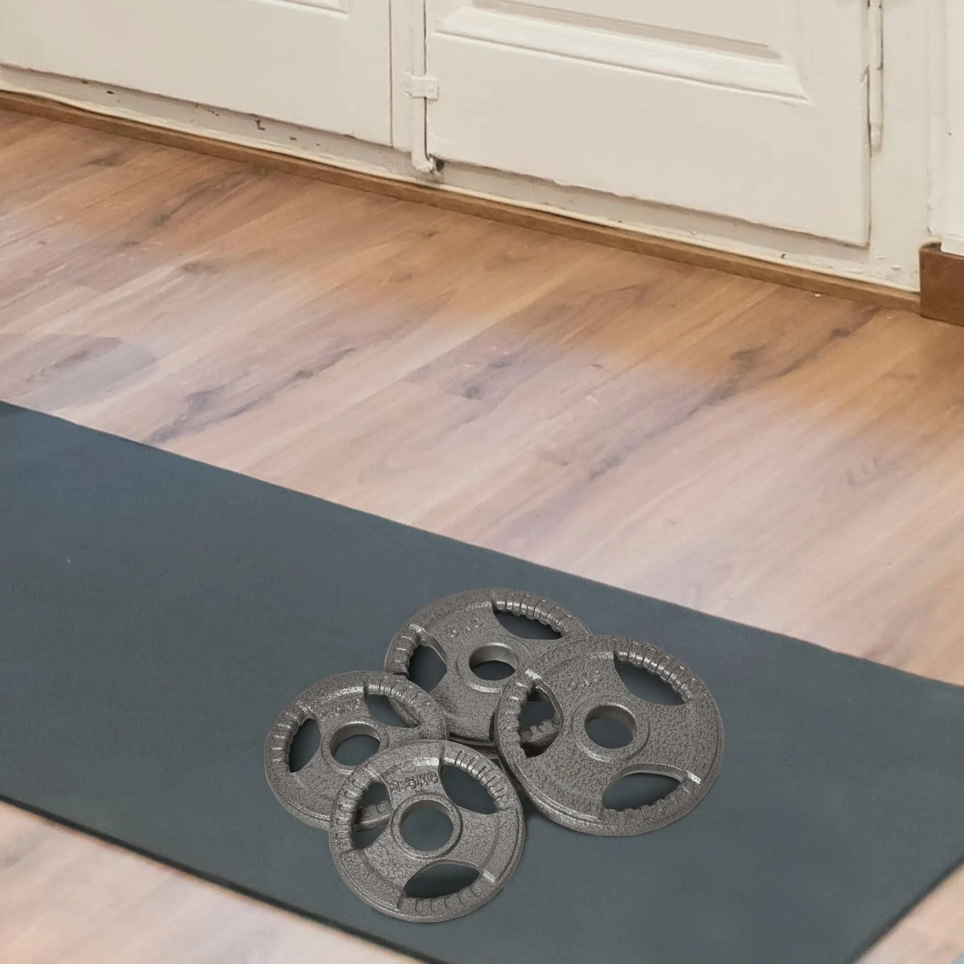 Set of 4 Dumbbell Plates, 2"/5cm Hole, 33 lbs, 2 x 11 lbs, 2 x 5.5 lbs, Silver Dumbbells & Barbells at Gallery Canada