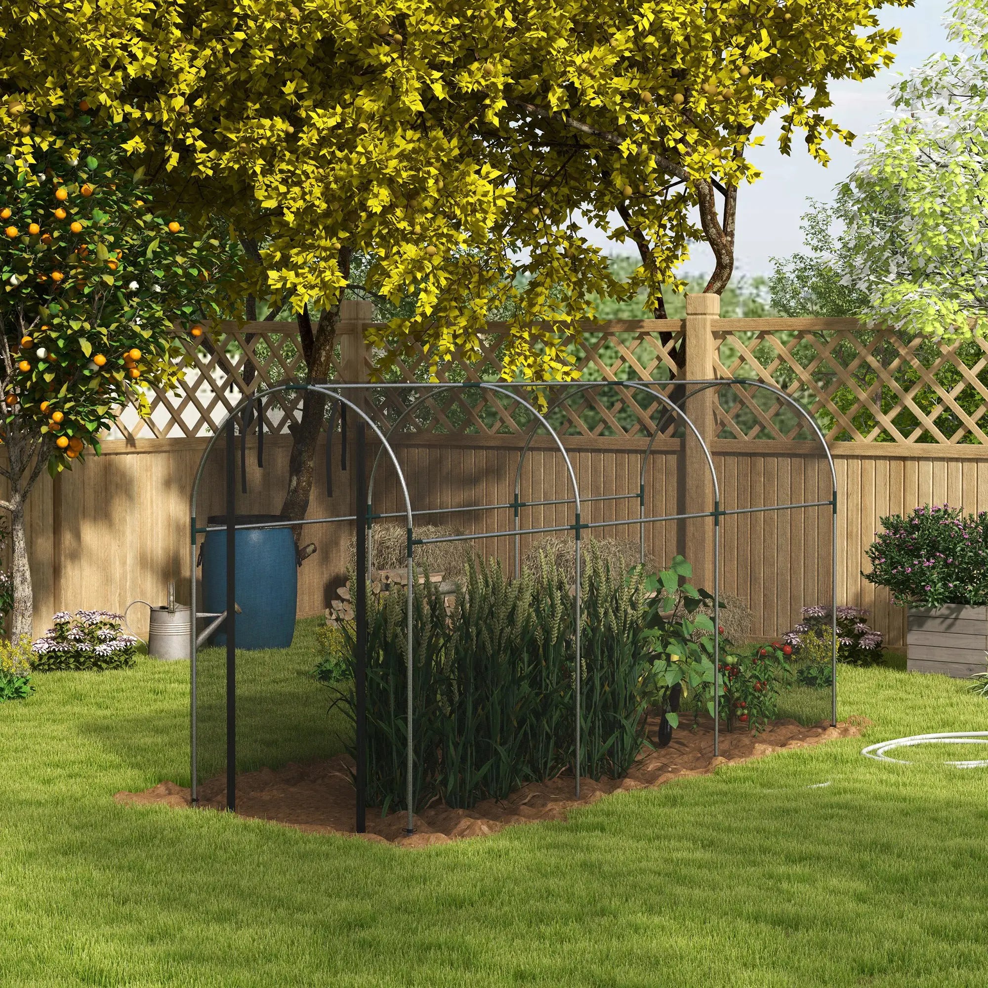 Galvanized Steel Crop Cage, Plant Protection Tent, 4' x 12', Black Walk In Greenhouses at Gallery Canada