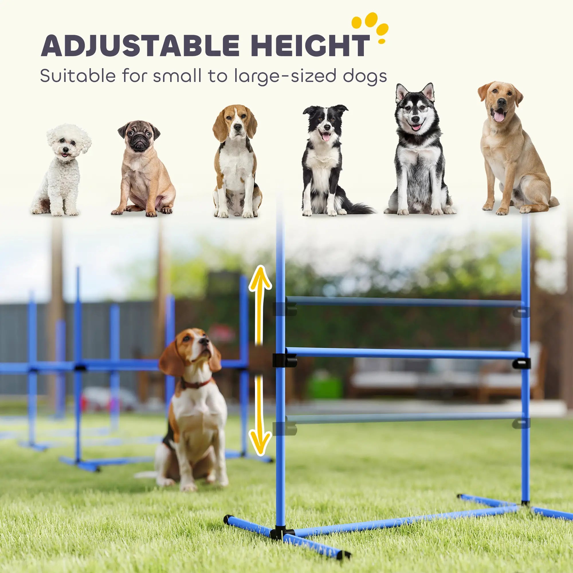 Dog Agility Training Set, 4 Adjustable Jump Bars, Exercise Kit, Blue Dog Agility Training Equipment at Gallery Canada