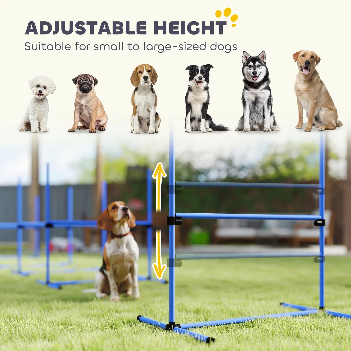 Dog Agility Training Set, 4 Adjustable Jump Bars, Exercise Kit, Blue Dog Agility Training Equipment at Gallery Canada