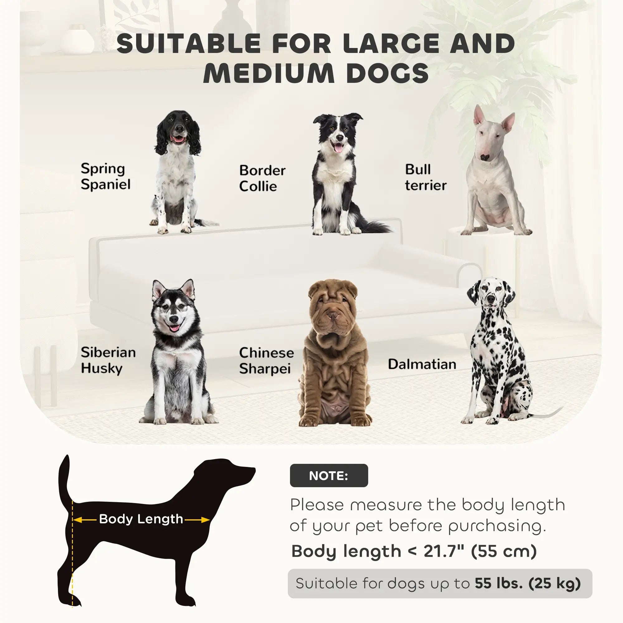 Elevated Dog Sofa Bed, Cat Couch with Cushion, Washable Cover, Wooden Legs, Medium & Large, Light Grey Dog Sofas at Gallery Canada