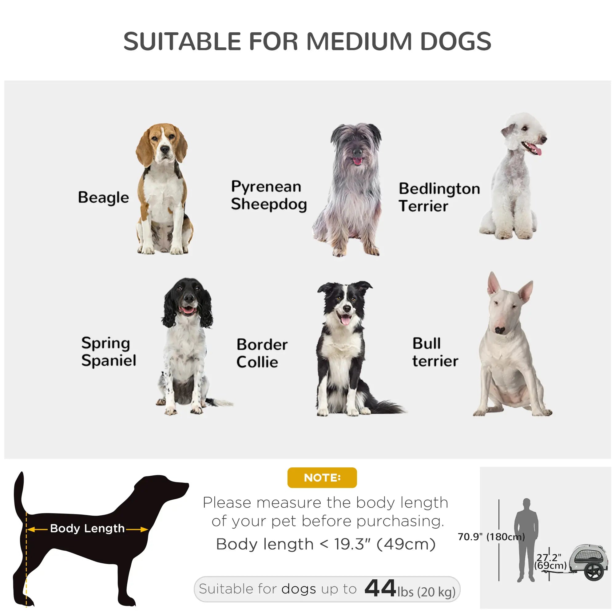 Dog Bike Trailer, Mesh Windows, Safety Leash, Flag, Medium Dogs, Light Grey Dog Bike Trailers & Strollers at Gallery Canada