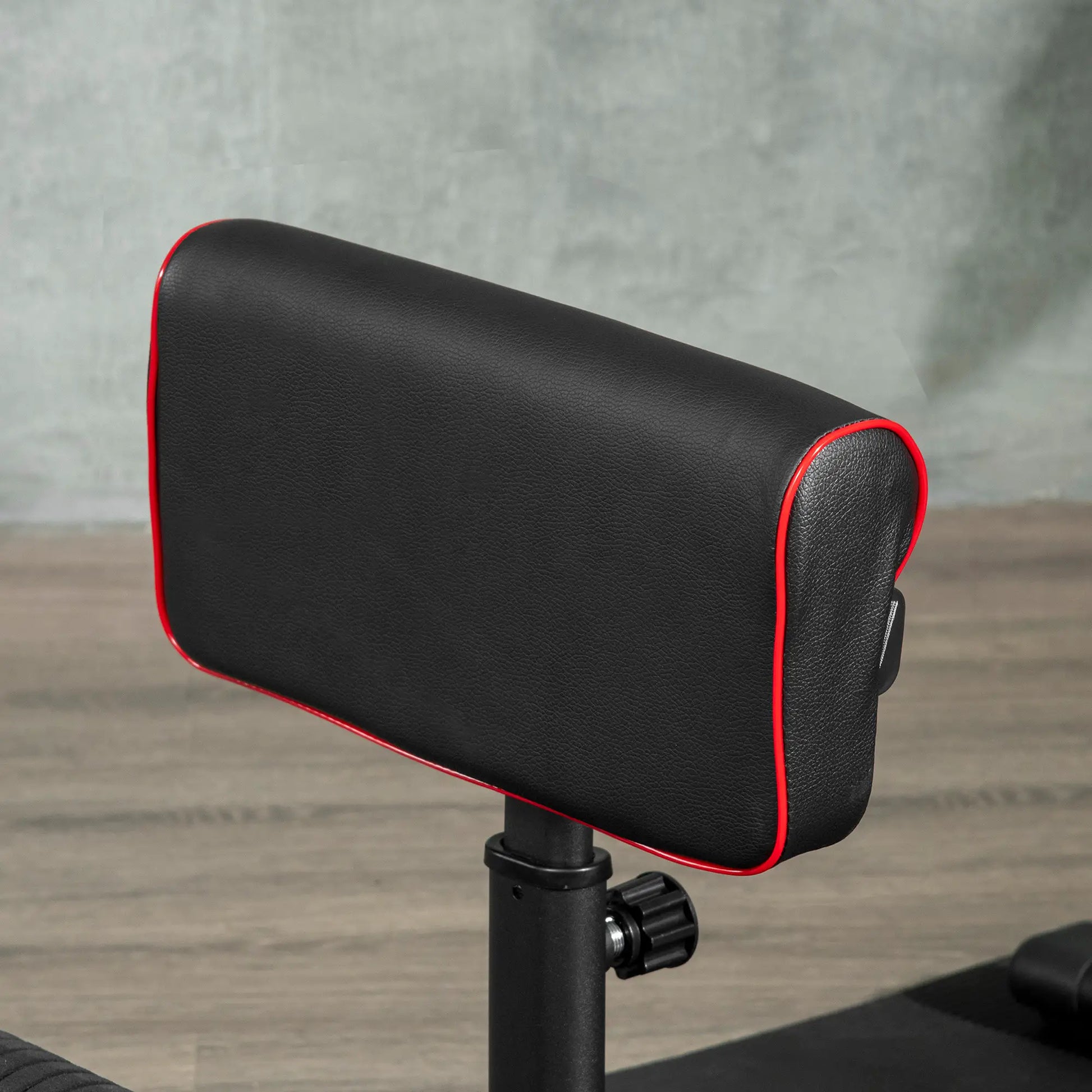 Sissy Squat Machine, Adjustable Leg Workout Equipment, Non-Slip Foot Plate Squat Machine at Gallery Canada