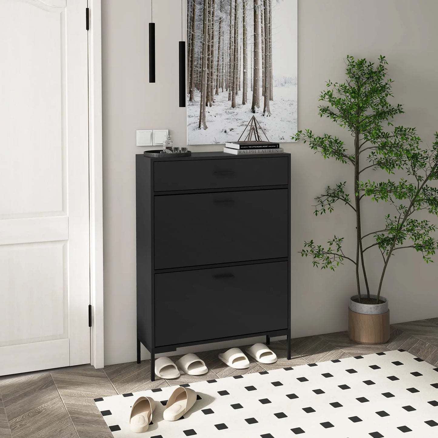 Modern Shoe Cabinet, 12 Pair Organizer, 2 Flip Doors, Adjustable Shelf, Black Shoe Storage Cabinets & Racks at Gallery Canada