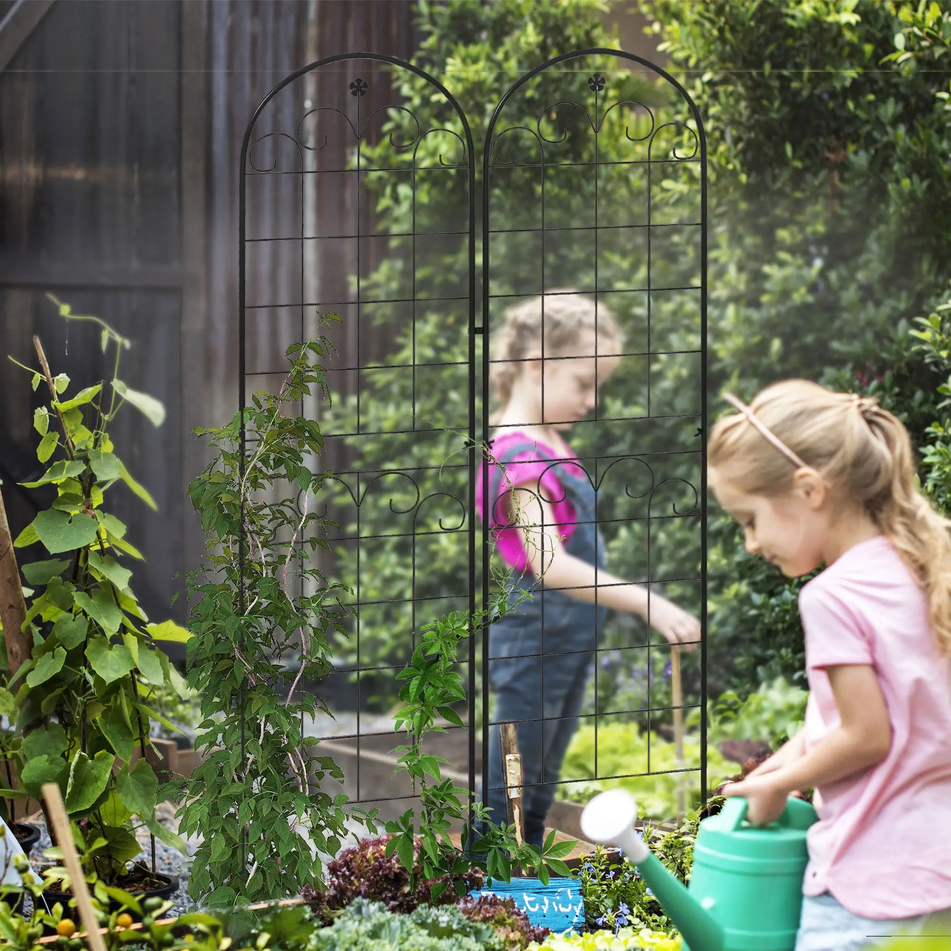 2 Pcs Metal Garden Trellis, Outdoor Plant Support, Patio Lawn Backyard Plant Stands at Gallery Canada