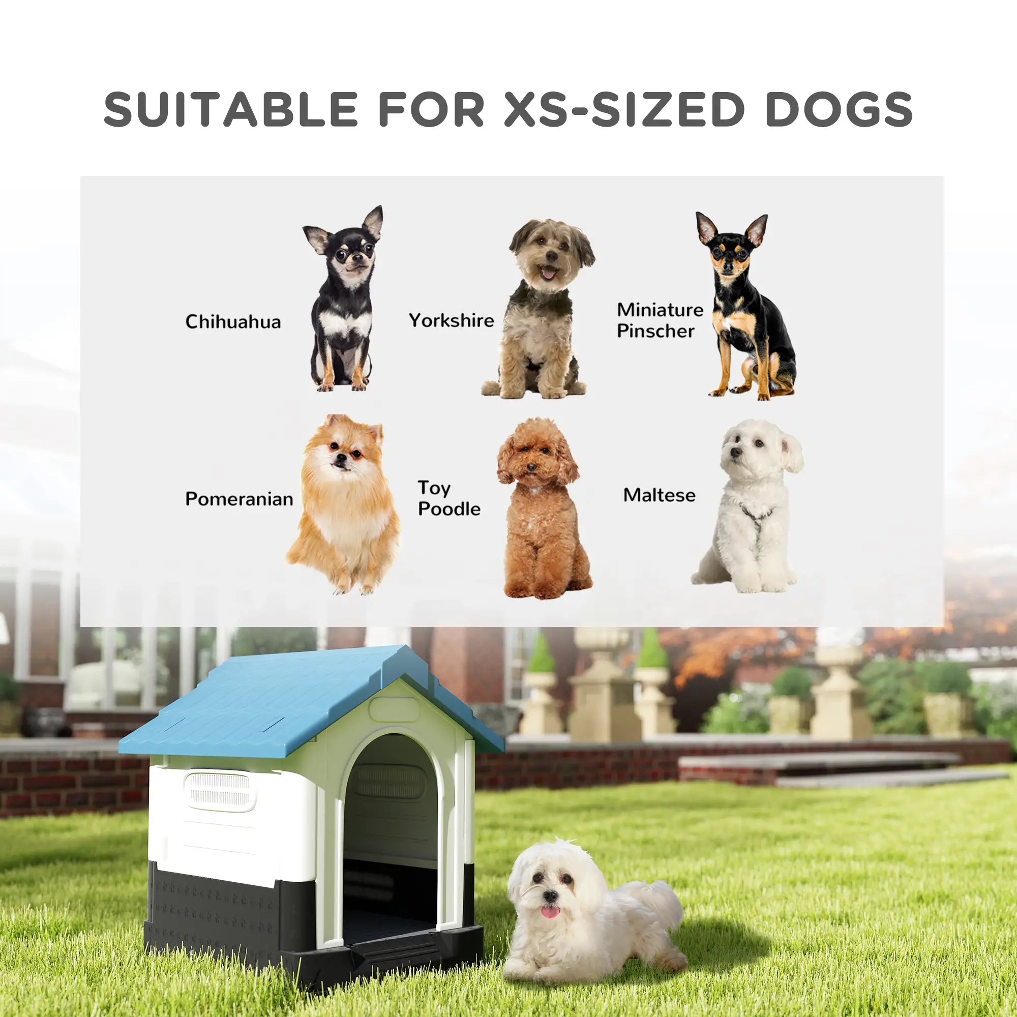 Outside Dog Kennel House, Miniature Dogs, 64.5 x 57 x 66cm, Blue Dog Cages & Crates at Gallery Canada